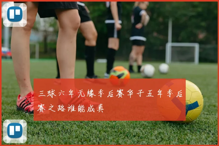 三球六年无缘季后赛华子五年季后赛之路谁能成真
