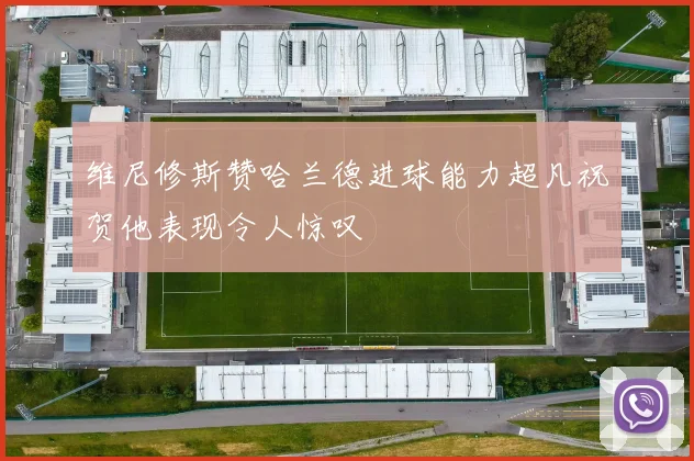 维尼修斯赞哈兰德进球能力超凡祝贺他表现令人惊叹
